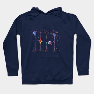 Four types of neurons Hoodie